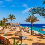 Sunny resort beach with palm tree at the coast shore of Red Sea in Sharm el Sheikh, Sinai, Egypt, Asia in summer hot. Bright sunny light