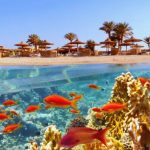 Idylic beach with palms and sun umbrelas, Red Sea, Egypt