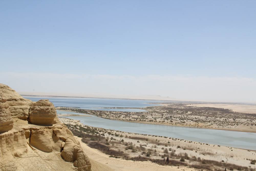 Fayoum Oases