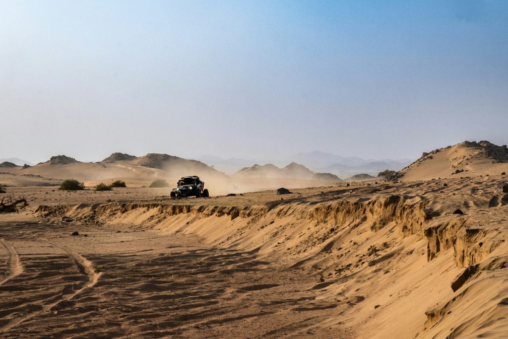 Bahriya Oases