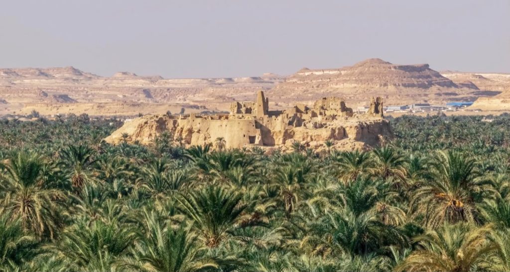 Siwa Oases History